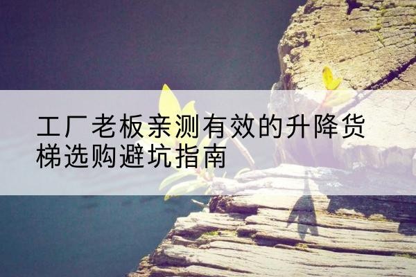 柘城升降货梯怎么选-工厂老板亲测有效的升降货梯选购避坑指南