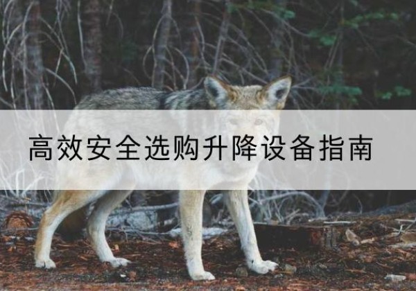 柘城升降货梯厂家推荐-*安全选购升降设备指南
