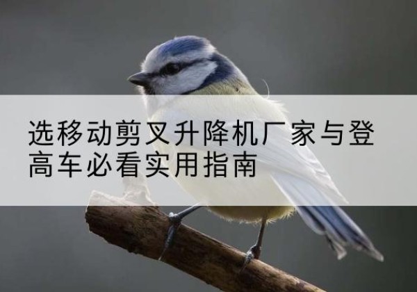 柘城电动升降机厂家-选移动剪叉升降机厂家与登高车必看实用指南