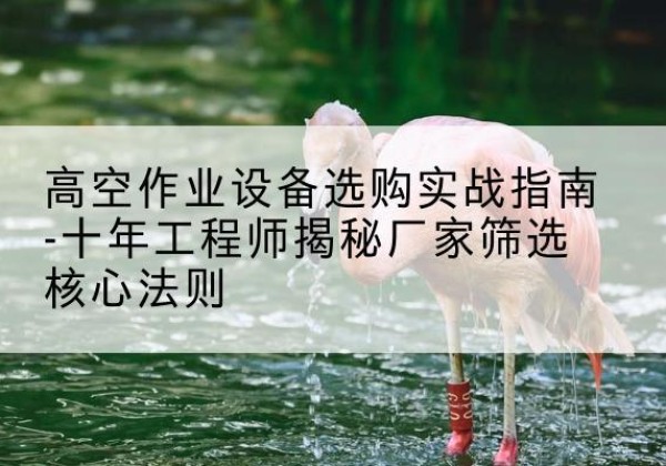 柘城剪叉式升降机厂家-高空作业设备选购实战指南-十年工程师揭秘厂家筛选核心法则