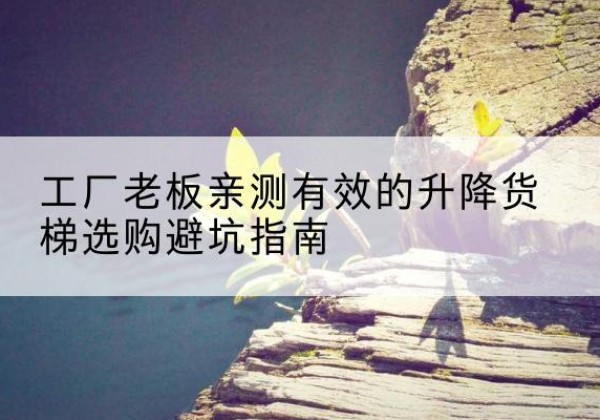 柘城升降货梯怎么选-工厂老板亲测有效的升降货梯选购避坑指南
